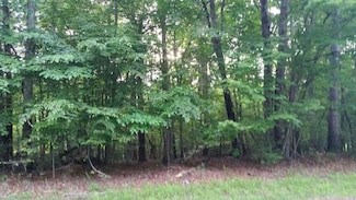 Lot 1 Mallard Point Rd, Wirtz, VA 24184