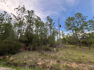 124 New York Ave, Interlachen, FL 32148