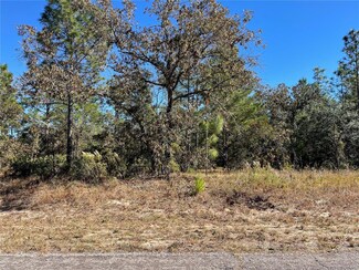 6777 N Dunlap Terrace, Citrus Springs, FL 34433