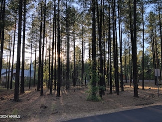 2504 Timber Ridge Ln Unit 1, Pinetop, AZ 85935