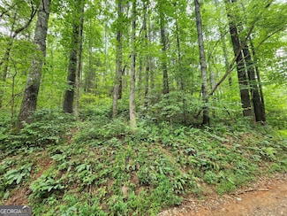 TRACT 2A Poplar Cove Rd, Suches, GA 30572