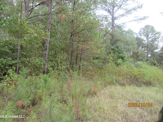 1364 Flower Rd, Vaughan, MS 39179