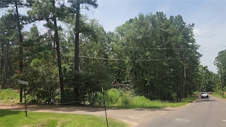 Lot 2 Honey Locust, Plantersville, TX 77363
