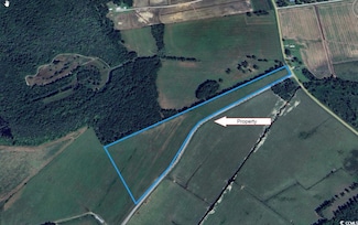 TBD Gunters Island Rd, Galivants Ferry, SC 29544