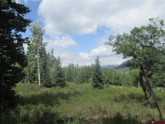 201,255 Owens Ct, Pagosa Springs, CO 81147