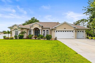 4615 Cozzo Dr, Land O Lakes, FL 34639
