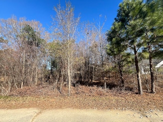 0 Tennis Ln, Summerton, SC 29148