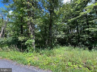 0 Bear Trail Unit VAFV2019272, Winchester, VA 22602