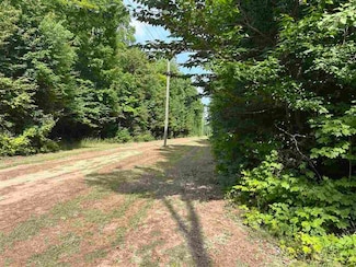 4856 Star Chief Trail, Mancelona, MI 49676