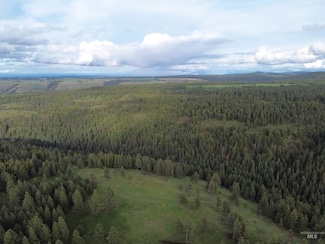 TBD Mccormack Ridge Rd, Spalding, ID 83540