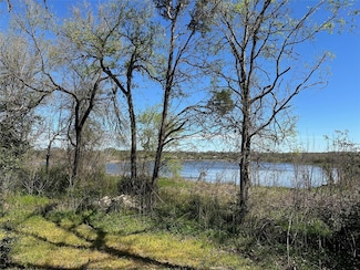 TBD Lake View Dr, Cedar Creek, TX 78612