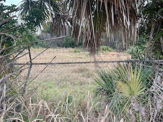 180 Thompson Ave, Sharpes, FL 32927