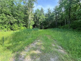 00 Cr-45, Palermo, NY 13036