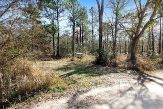 16045 Williams St Unit 1, Coden, AL 36523