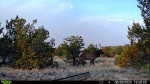 83 Bear Valley Rd, Ramah, NM 87321