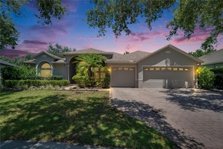 16367 Ashington Park Dr, Tampa, FL 33647