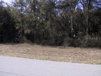 5 W Park Ave, Chiefland, FL 32626