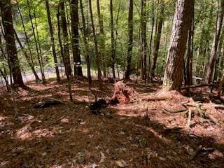 Lot 278 Guidon Ct, Ellijay, GA 30540