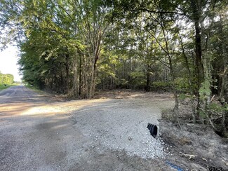 Tract 1 TBD County Road 4908, Ben Wheeler, TX 75754