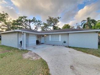 523 Oakbriar Place, Brandon, FL 33510