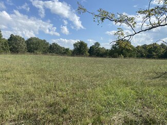 15109 Boiling Springs Rd, Licking, MO 65542