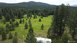 13 Miners Ridge Rd, Oroville, WA 98844