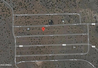 15 5202 Unit 81, Concho, AZ 85924