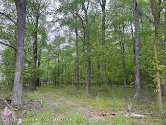 0 W Hyde Rd, Saint Johns, MI 48879