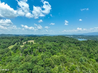 133 Acres Devault Bridge Rd, Piney Flats, TN 37686