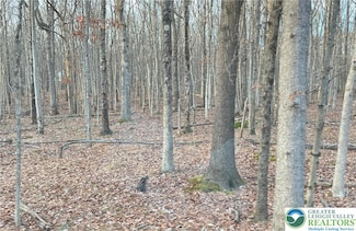 6 Occonquan Trail Unit 1723, Penn Forest Township, PA 18210