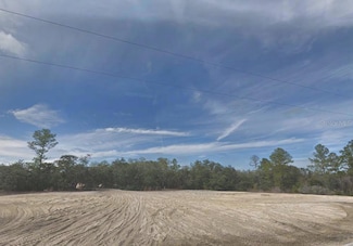 8197 Hardstone Dr, Webster, FL 33597