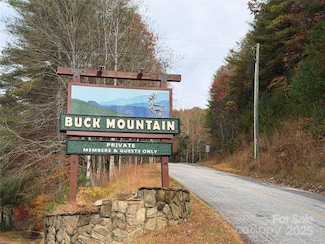 TBD Casey Mountain Rd Unit 209, Purlear, NC 28665