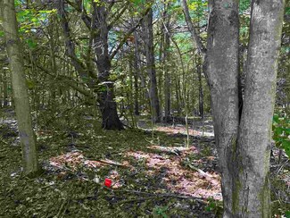 Lot 32 Rose Ct Unit Paradise Estates, Torch Lake Township, MI 49648