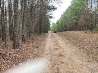 0 Lick Creek Rd Unit LP719997, Sanford, NC 27330