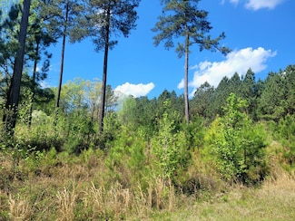 653 Parham Rd NW, Milledgeville, GA 31061