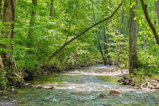 LOT 306 Highgrove Dr, Talking Rock, GA 30175