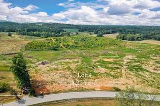 Lot #4 Willow Grove Hwy, Monroe, TN 38573