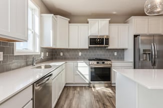 8335 Lander Ave NE, Otsego, MN 55330