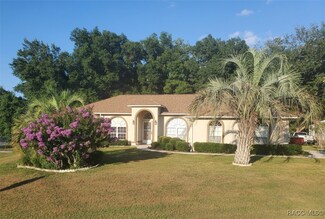 9175 N Sandree Dr, Citrus Springs, FL 34434
