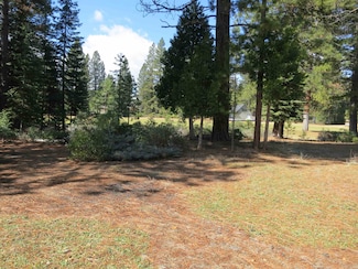 533 Dinsmore Dr, Lake Almanor, CA 96137