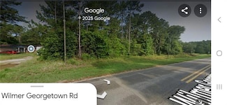 0 Wilmer Georgetown Rd Unit 7578626, Wilmer, AL 36587