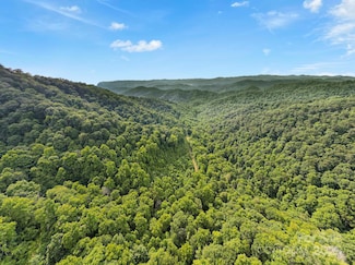 3440 Hamburg Rd, Mars Hill, NC 28754
