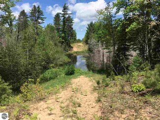 10029 Boardman Road Lot #2, Grand Traverse, MI 49633