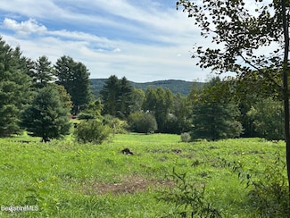 0 Brewer Branch Rd, New Marlborough, MA 01244