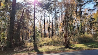 2247 Old Cherokee Rd Unit LOT 6, Lexington, SC 29072