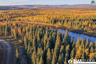 Lot 5 Lowood St Unit The River`s Edge Est, Badger, AK 99705