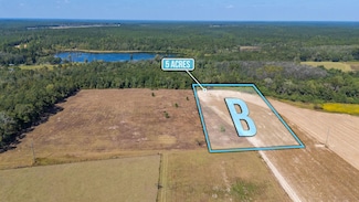 5 Acres - B McPhail Farm Rd, Florala, AL 36442