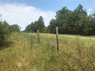 40 +/- Acres Williamson Kendrick Trail, Eclectic, AL 36024