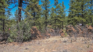 87 Engineer Point, Pagosa Springs, CO 81147