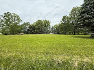 0 Morgan Dr, Chippewa Township, OH 44230